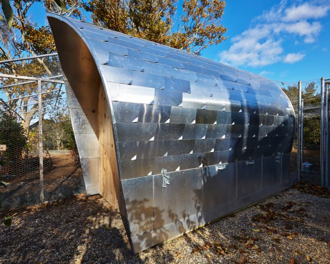 reflecting chicken coop shingles and wooden door