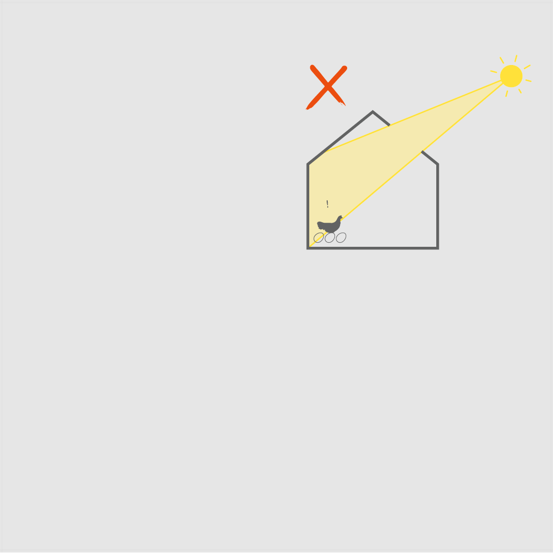 animation of light and ventilation considerations for a chicken coop