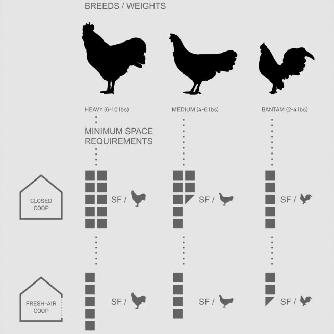 chicken coop space requirements and chicken breed diagram