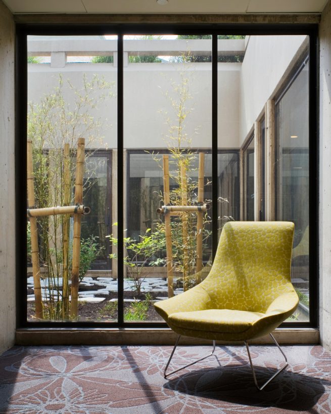 yellow chair in front of glass looking into an enclosed garden