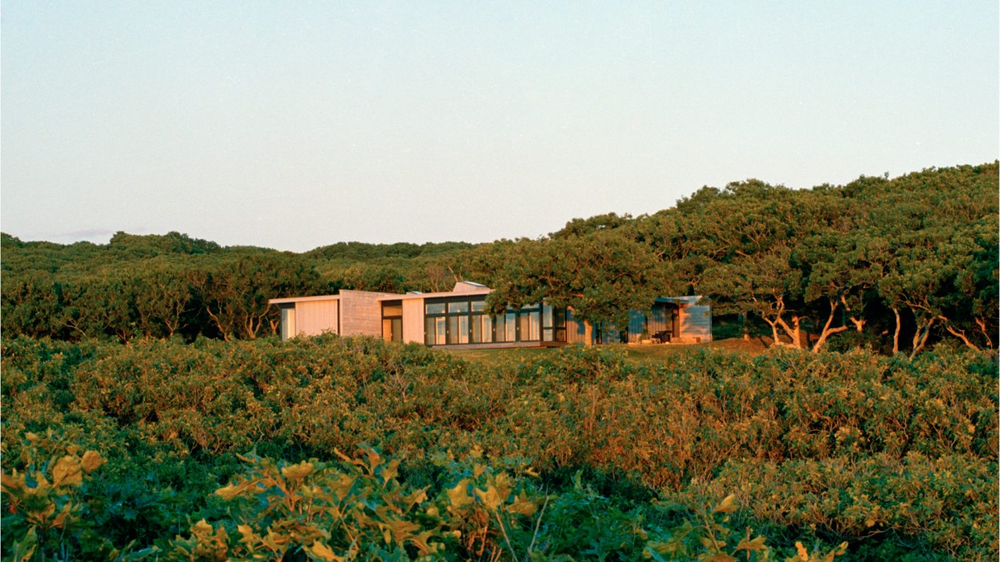 home nestled into trees from across a martha's vineyard pasture