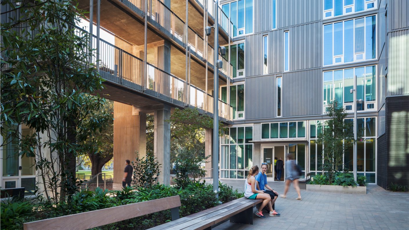 students meet on benches in courtyard surrounded by plants and zinc-clad facade