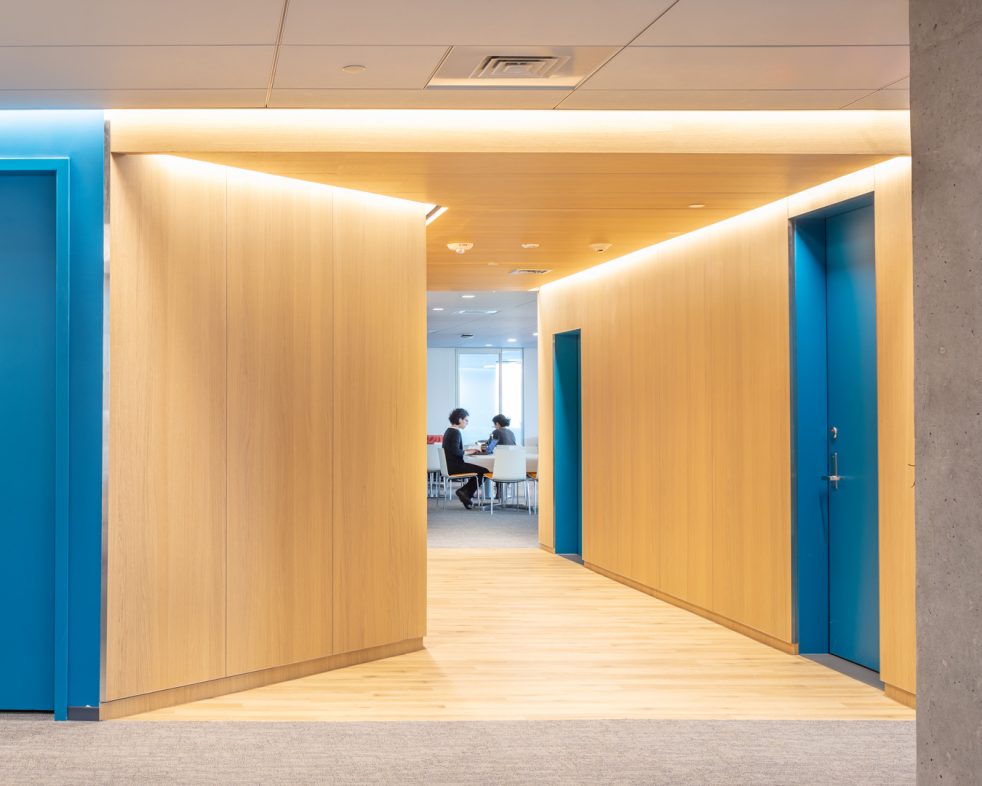 Bright, inflected wood-paneled hallway with blue doors