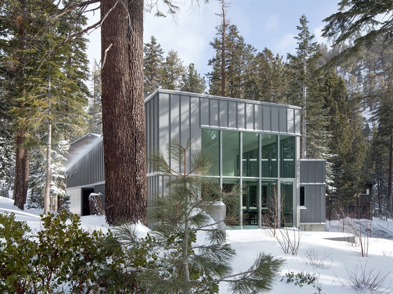 Mammoth House surrounded by trees and snow