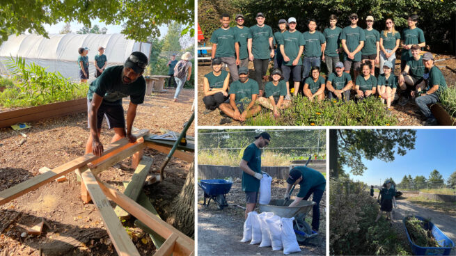 Grid of images of AROers working with GrowNYC showing a person building a bench, a group photo, two people creating sandbags, and a person weeding.