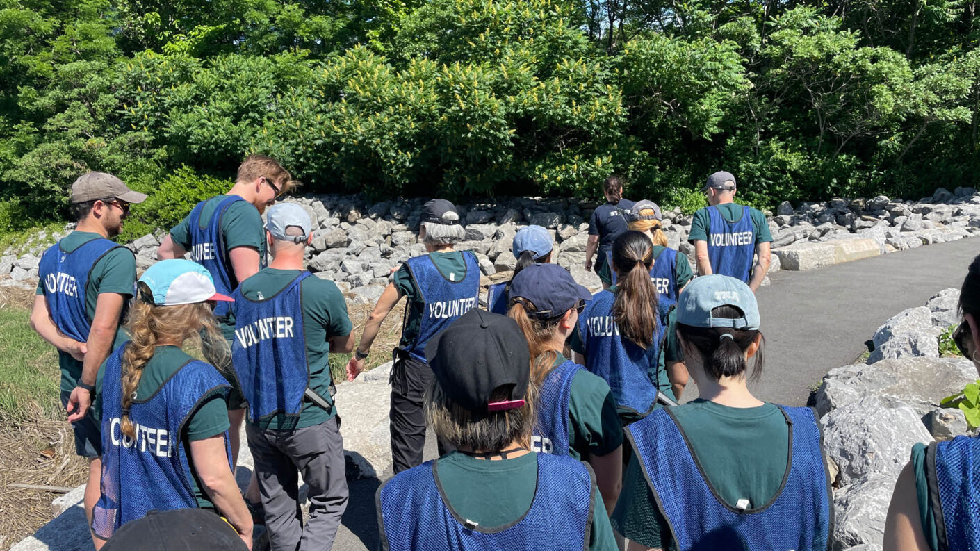 Photograph of a group people wearing volunteer shirts in a park