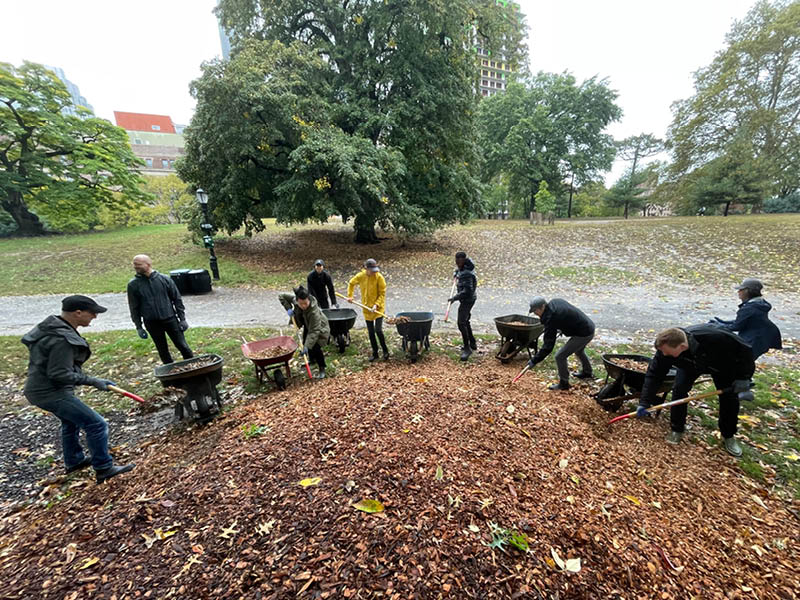 Photograph of people shoveling a pile of mulch into wheelbarrows