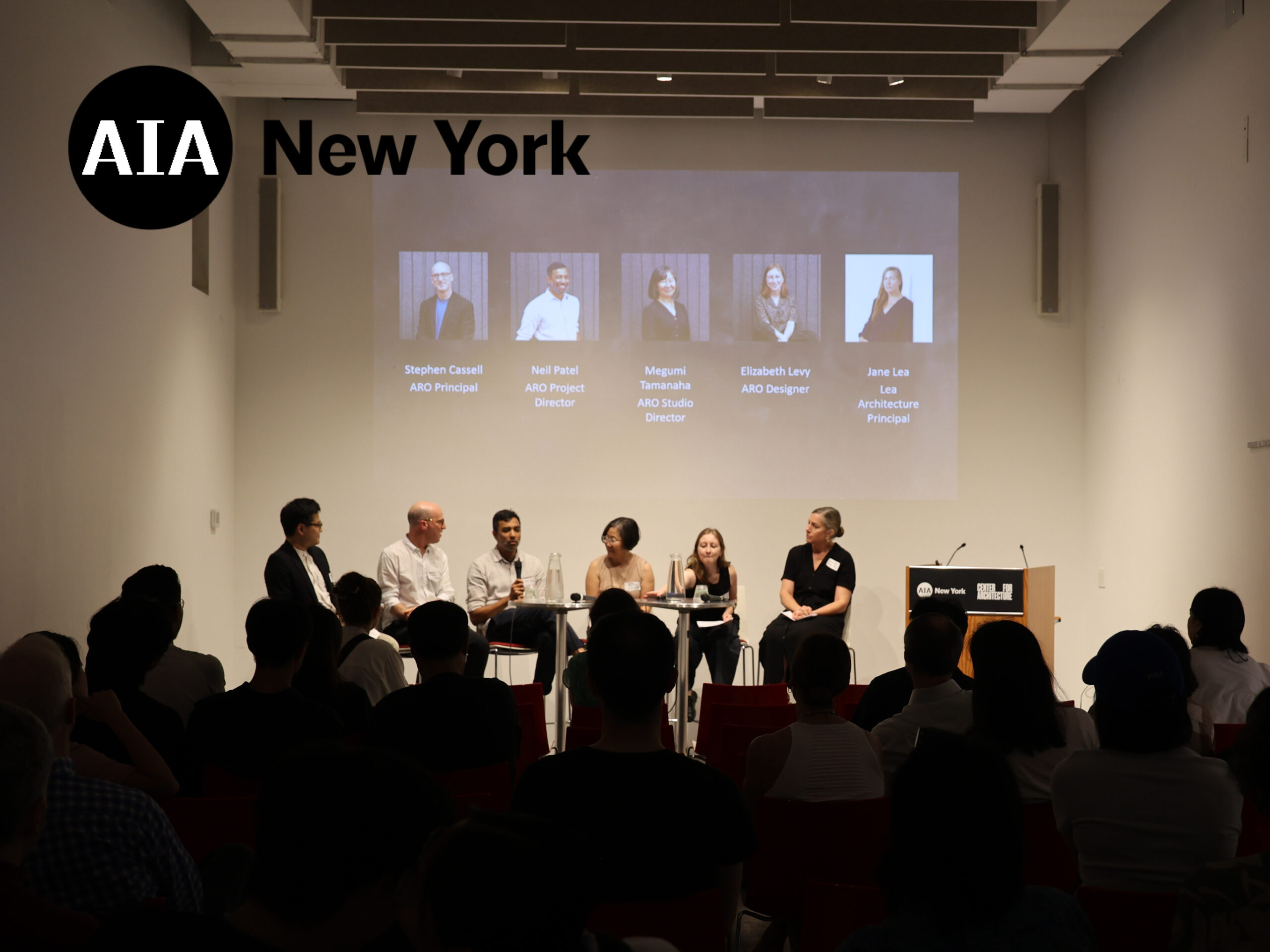 Panel presentation at the AIANY Center for Architecture