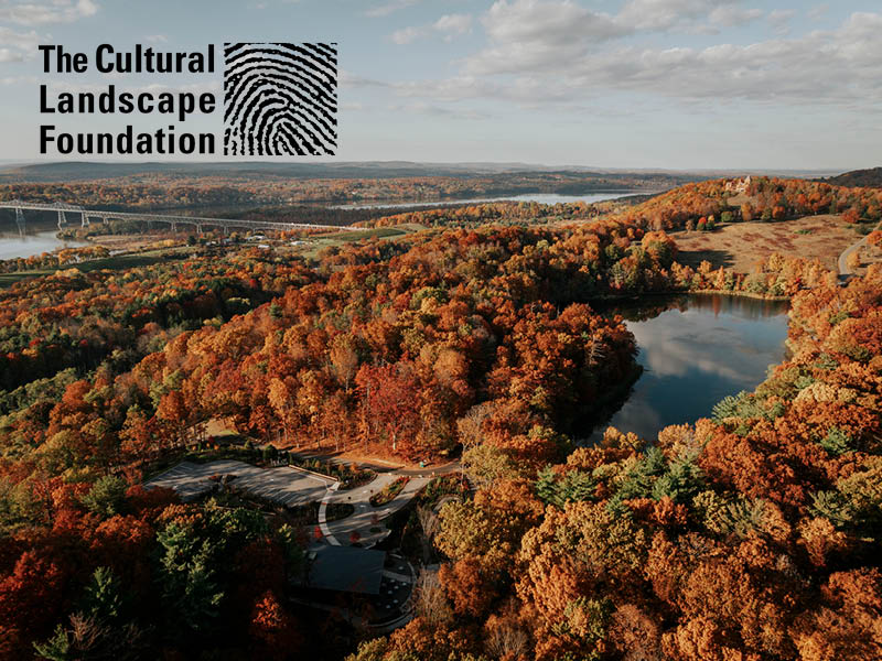 Aerial view of a forested landscape in autumn.
